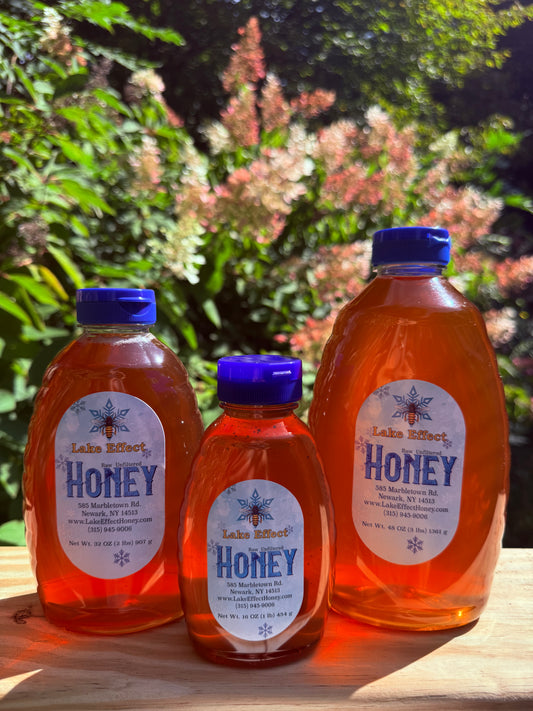1 Pound Raw Honey from Finger Lakes Region NY- unfiltered, not pasteurized