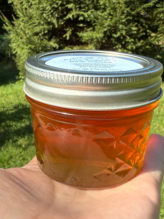 Eastern White Pine (Pinus strobus) Infused Raw Honey Honey- 5 ounces