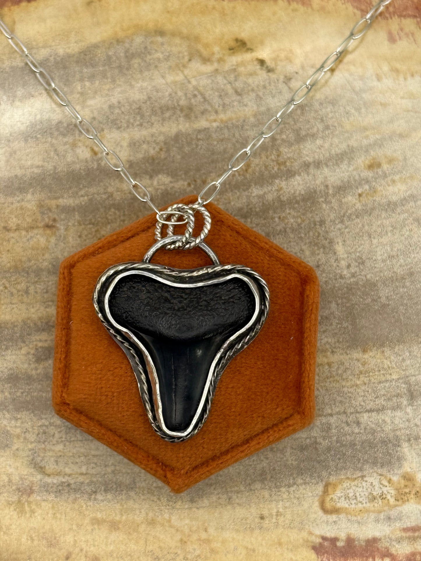 Fossil Shark Tooth Necklace