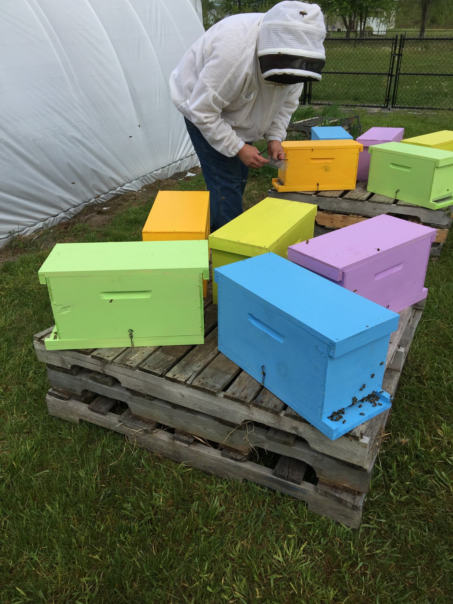 1 Pound Raw Honey from Finger Lakes Region NY- unfiltered, not pasteurized