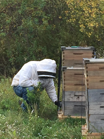 1 Pound Raw Honey from Finger Lakes Region NY- unfiltered, not pasteurized