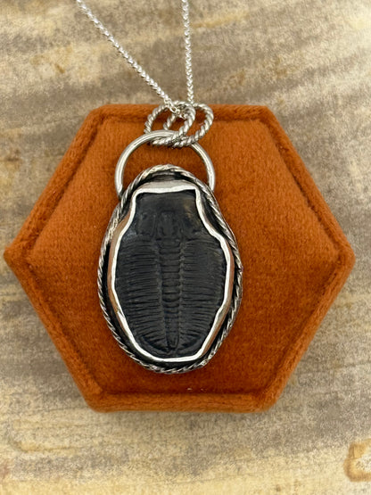 Trilobite Fossil Pendant