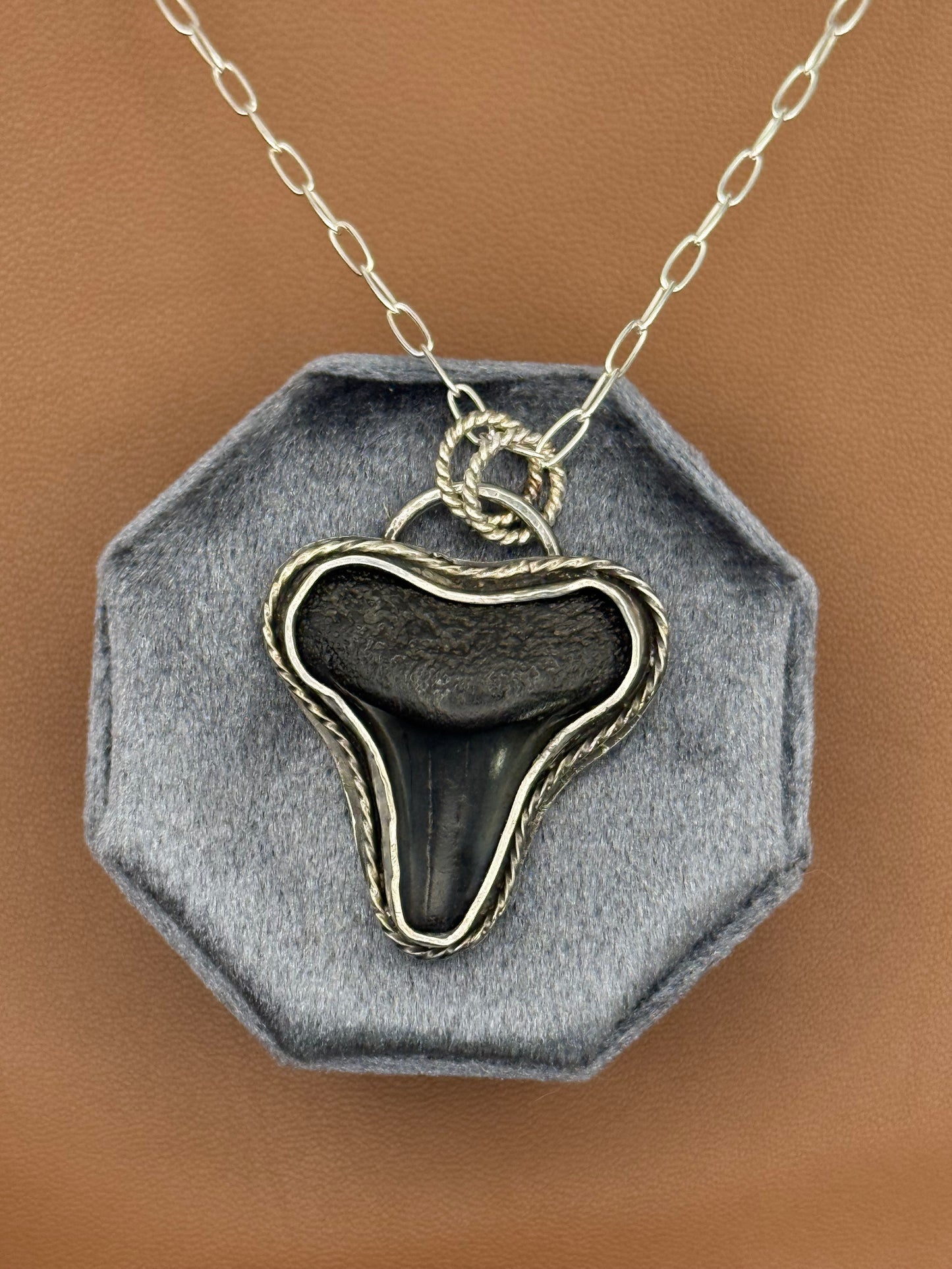 Fossil Shark Tooth Necklace