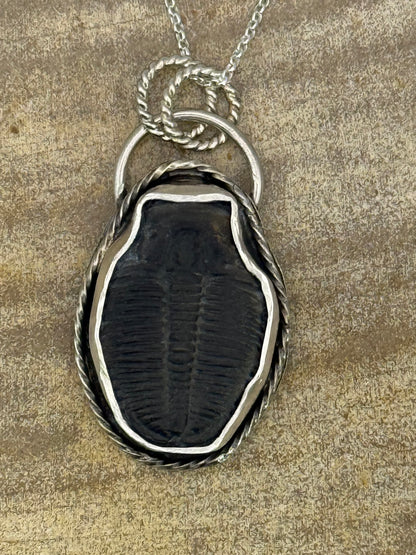 Trilobite Fossil Pendant
