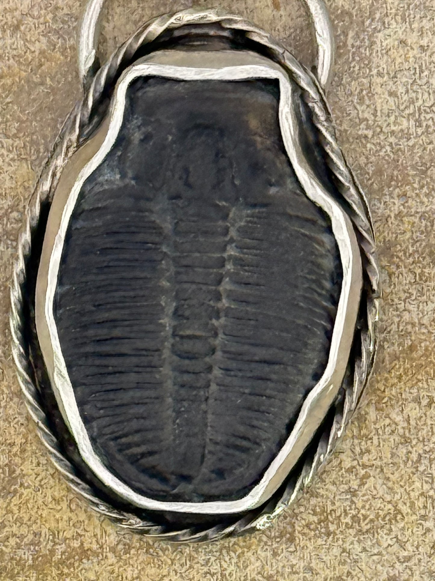 Trilobite Fossil Pendant