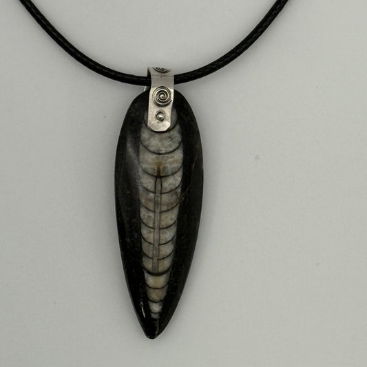 Orthoceras Fossil Pendant