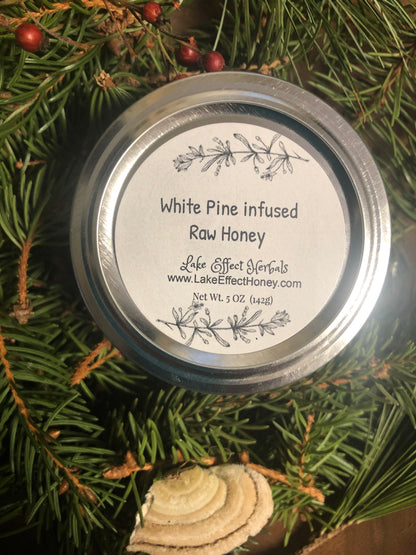 Eastern White Pine (Pinus strobus) Infused Raw Honey Honey- 5 ounces