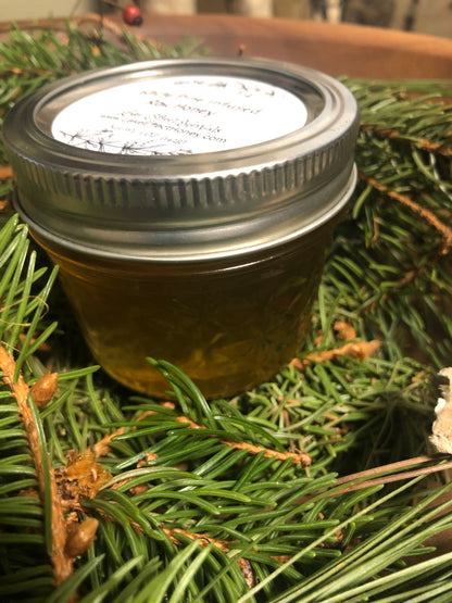 Eastern White Pine (Pinus strobus) Infused Raw Honey Honey- 5 ounces