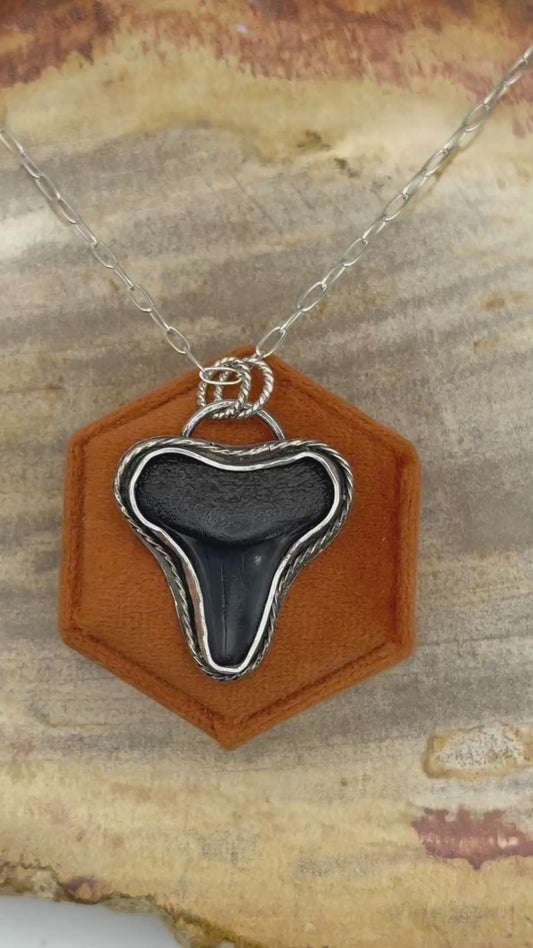 Fossil Shark Tooth Necklace